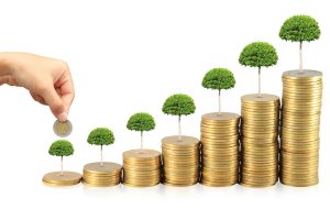 Zinnera биржа - что нужно знать. Честные отзывы клиентов