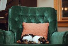 Подушки для сна: как правильно выбрать