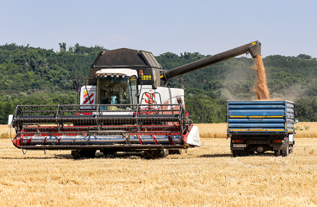 Прогноз по общему урожаю зерновых в России остается на уровне 135 млн тонн