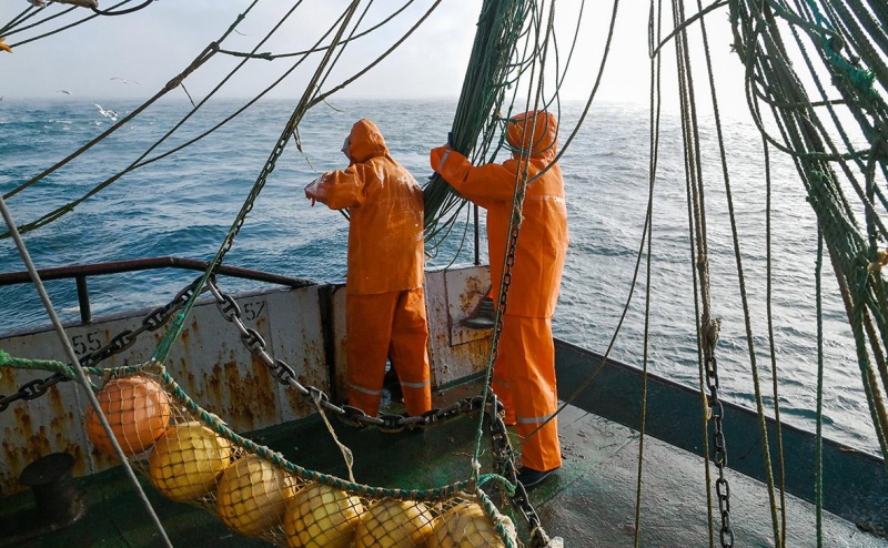 Рыбаки заявили о риске для промысла из-за ограничений для старых судов