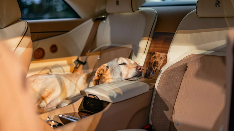 Уникальный Rolls-Royce Spectre посвятили собаке