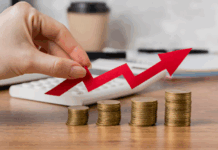 Трейдинг и инвестиции: путь к финансовой свободе или ловушка